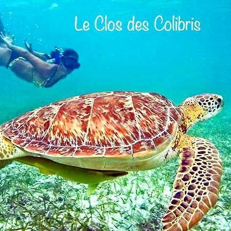Lodge Colibris: Panoramic Sea and Mountain Views near Caribbean Beach Le Carbet Exterior photo