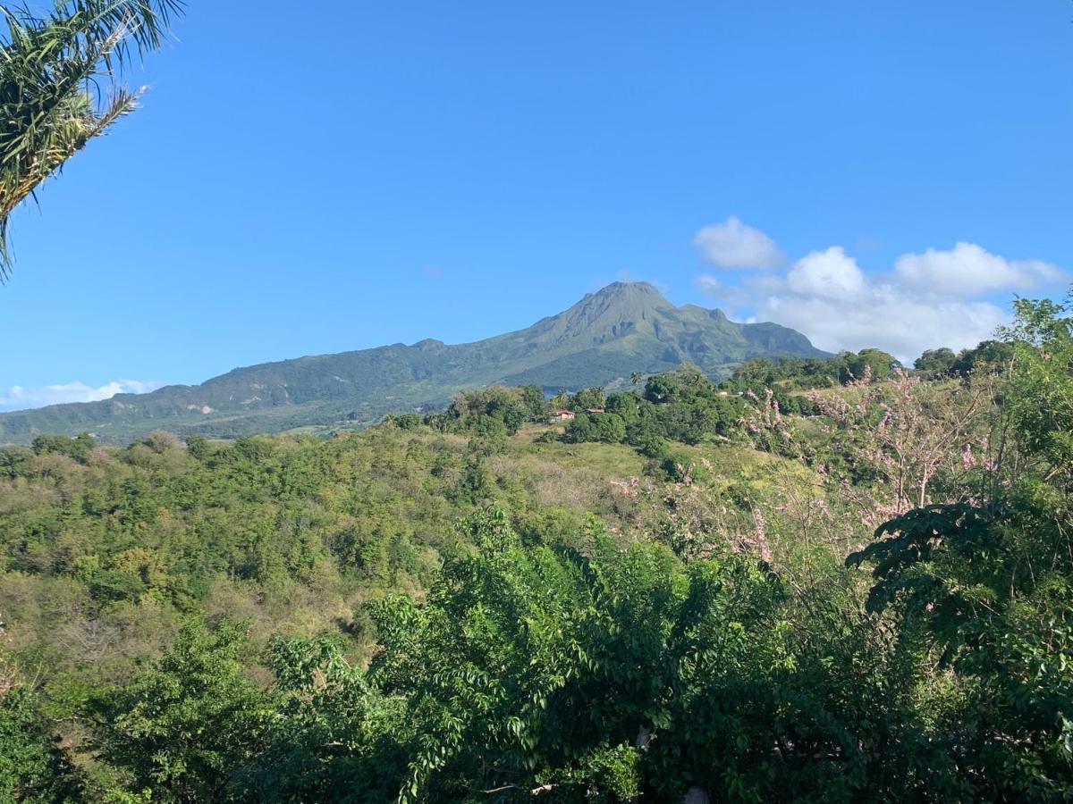 Lodge Colibris: Panoramic Sea and Mountain Views near Caribbean Beach Le Carbet Exterior photo