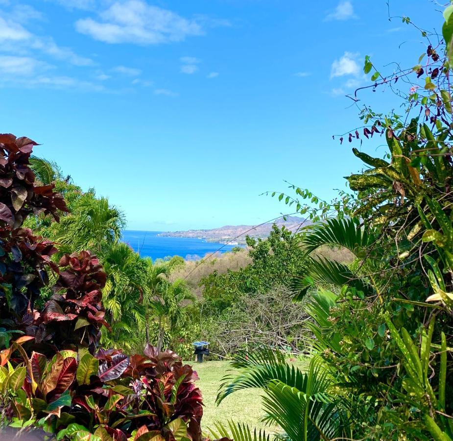 Lodge Colibris: Panoramic Sea and Mountain Views near Caribbean Beach Le Carbet Exterior photo